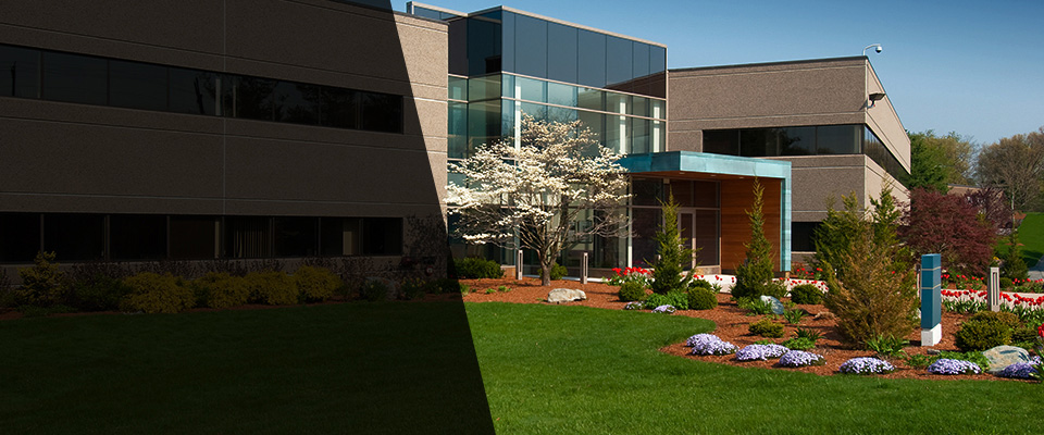 Palmetto Landscapers