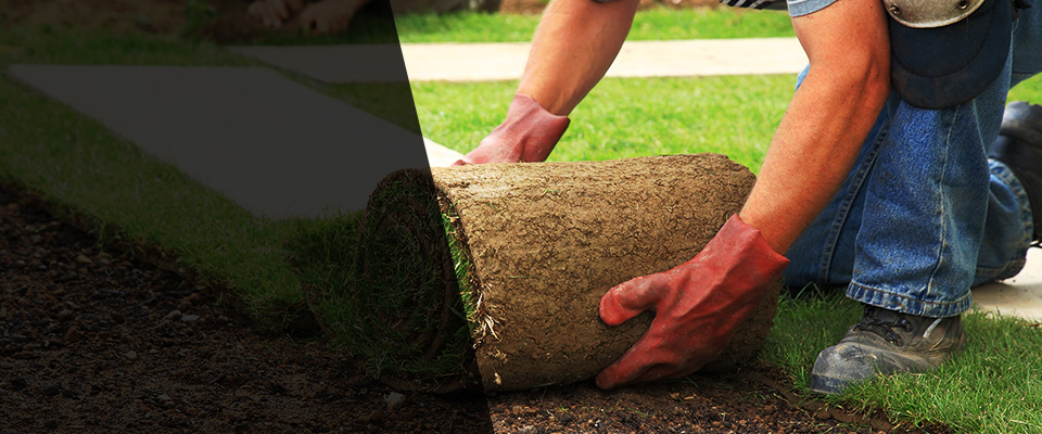 Palmetto Landscapers